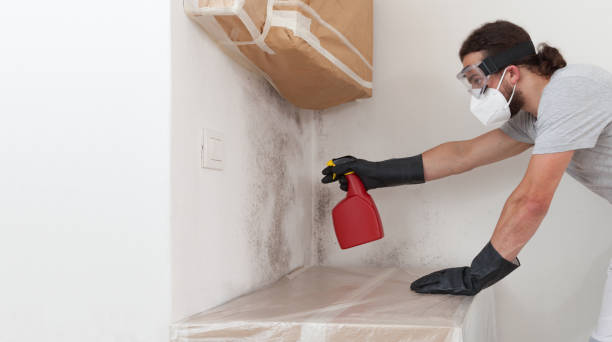 Professional Bathroom Mold Removal technician working in Montclair, NJ