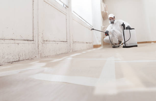 24/7 Emergency Bathroom Mold Removal experts in Montclair, NJ