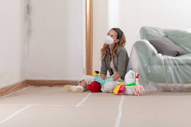 Reliable Bathroom Mold Removal contractor in Montclair, NJ by WQB Mold Removal